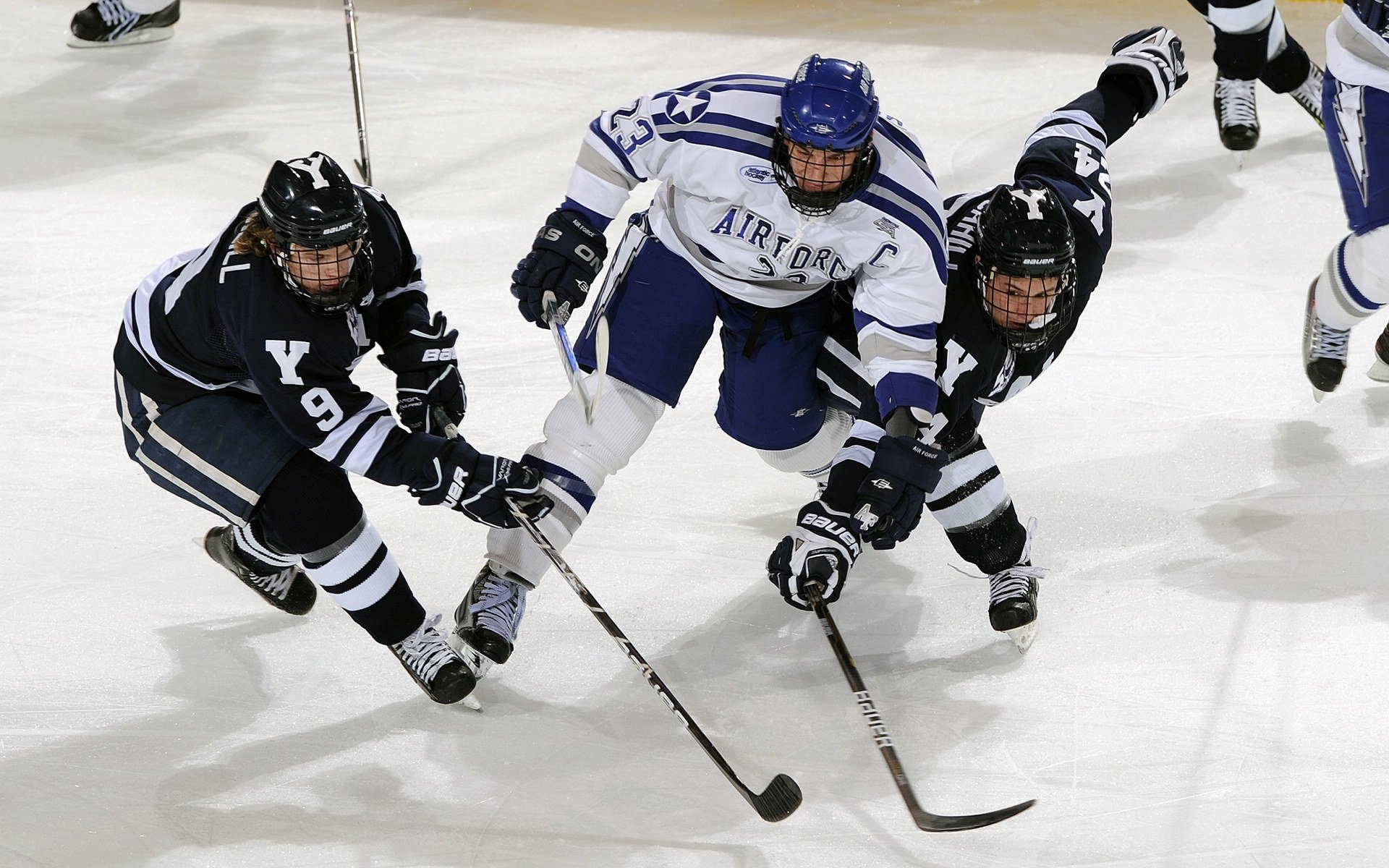 掘金如何粉碎北京队？戈贝尔一夫当关，三节打崩悬念！